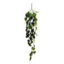 Monstera hanger out of plastic     Size: 120cm    Color:...