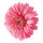Gerbera head out of artificial silk, to hang     Size: Ø 30cm    Color: pink