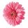 Gerbera head out of artificial silk, to hang     Size: Ø 30cm    Color: pink