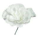 Peony rose out of foam, flexible     Size: Ø 50cm,...