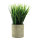 Grass in pot out of plastic     Size: 22cm, pot: Ø 7,5cm    Color: green