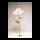 Schmuckkörbchen Blume aus Papier, mit kurzem Stiel     Groesse: Ø 60cm    Farbe: pink