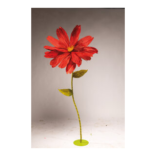 Cosmea head out of paper, with short stem     Size: Ø 80cm    Color: red