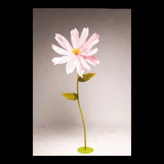 Cosmea head out of paper, with short stem     Size: Ø 80cm    Color: pink