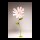 Schmuckkörbchen Blume aus Papier, mit kurzem Stiel     Groesse: Ø 80cm    Farbe: pink