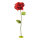 Rose head 3-parts, out of paper/plastic, with 160cm strem, flexible     Size: Ø 50cm, metal base: Ø 25cm    Color: red