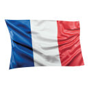 Flag out of plastic, double-sided printed, flat     Size:...