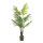 Palm in pot 9 leaves, out of plastic     Size: 110cm, pot: Ø 15cm    Color: green