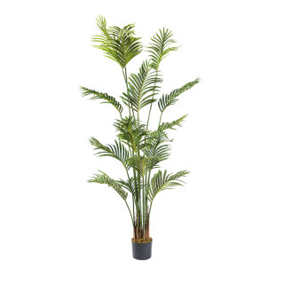 Palme im Topf 17 Blätter, aus Kunststoff     Groesse: 160cm, Topf: Ø 15cm    Farbe: grün