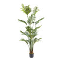 Palm in pot 15 leaves, out of plastic     Size: 180cm,...