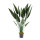 Bird of paradise in pot 18 leaves, out of plastic     Size: 110cm, pot: Ø 15cm    Color: green