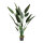 Bird of paradise in pot 28 leaves, out of plastic     Size: 180cm, pot: Ø 15cm    Color: green