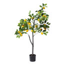 Lemon tree in pot out of plastic     Size: 120cm, pot:...