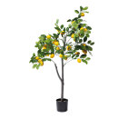 Lemon tree in pot out of plastic     Size: 120cm, pot:...