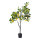 Zitronenbaum im Topf aus Kunststoff     Groesse: 120cm, Topf: Ø 13cm    Farbe: grün/gelb