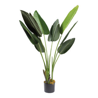 Banana palm tree 8 leaves, out of plastic     Size: 120cm, pot: Ø 12,5cm    Color: green