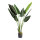 Banana palm tree 8 leaves, out of plastic     Size: 120cm, pot: Ø 12,5cm    Color: green