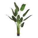 Banana palm tree 13 leaves, out of plastic     Size:...