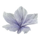 Flower head out of paper, with short stem, flexible...