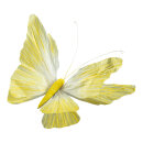 Schmetterling mit Clip aus Papier, biegsam     Groesse:...