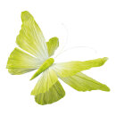 Butterfly with clip out of paper, flexible     Size: 60cm...