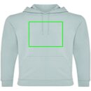 Iqoniq Jasper Hoodie aus recycelter Baumwolle Farbe: Iceberg green