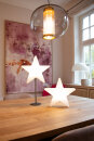 Shining Window Star (LED)