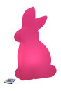 Shining Rabbit 50 (RGB)