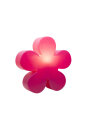 Shining Flower Ø 40 (Pink)