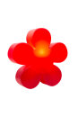 Shining Flower Ø 40 (Red)