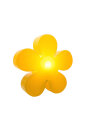 Shining Flower Ø 40 (Yellow)