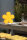 Shining Flower Ø 40 (Yellow)
