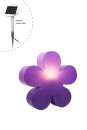 Shining Flower Ø 40 (Solar/Purple)