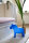 Shining Dala Horse 43 blau (veredelt)