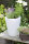 Shining Classic Pot S