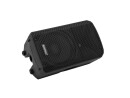 OMNITRONIC VFM-210 MK2 2-way Speaker