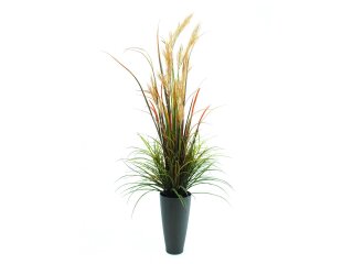 EUROPALMS Schilfgras September, künstlich, 175cm