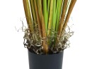 EUROPALMS Dandelion, artificial flower, 107cm