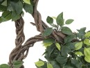 EUROPALMS Ficus Multi Spiralstamm, Kunstpflanze, 160cm