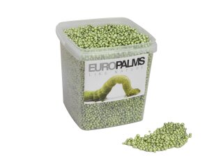EUROPALMS Blähton-Kugeln, limette, 5,5l Eimer