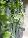 EUROPALMS Pothos bush tendril classic, artificial, 60cm