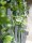 EUROPALMS Pothos bush tendril classic, artificial, 60cm