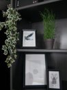 EUROPALMS Holland ivy bush tendril classic, artificial, 70cm
