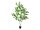 EUROPALMS Birkenbaum, Kunstpflanze, 150cm