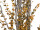 EUROPALMS Eucalyptus spray, artificial, yellow-green, 110cm