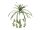 EUROPALMS Grünlilie, künstlich, 60cm