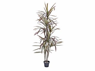 EUROPALMS Dracaena, künstlich, grün-rot, 180cm