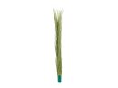 EUROPALMS Reed grass, light green, artificial,  127cm