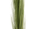 EUROPALMS Reed grass, light green, artificial,  127cm