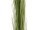 EUROPALMS Reed grass, light green, artificial,  127cm